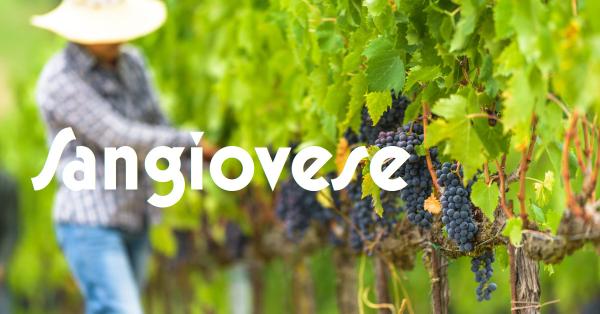 Sangiovese